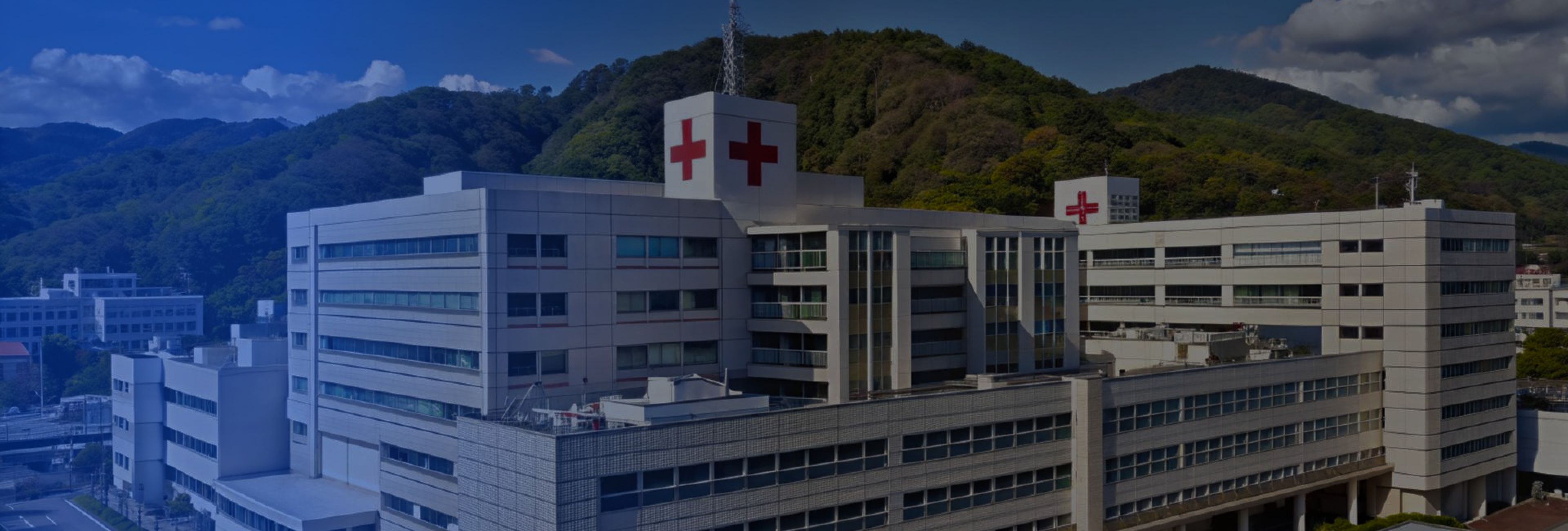 Healthcare Mobile App